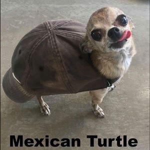 Meet your Posher, Rita